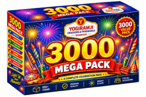 Home 3000